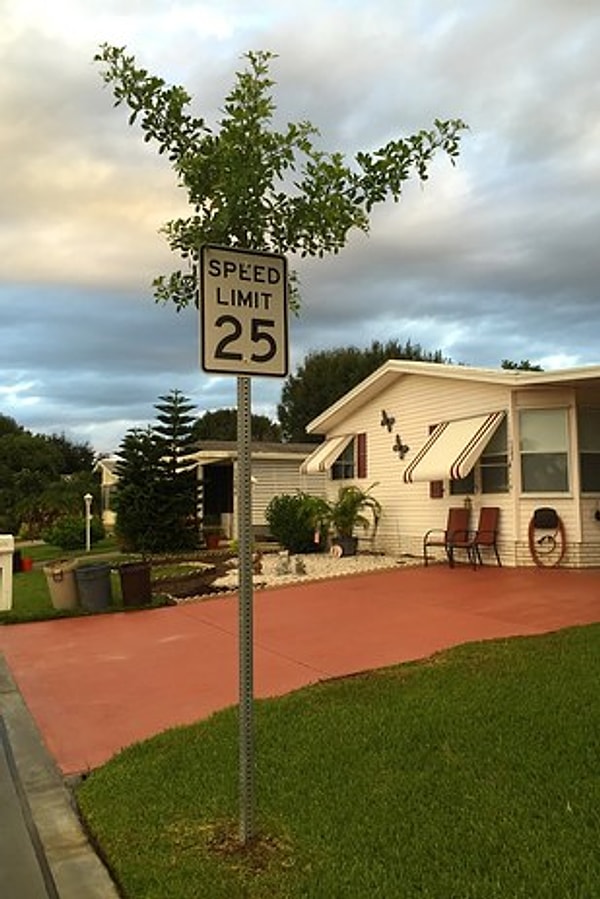 2. "Ооо, наивный дорожный знак...Надо использовать его в качестве ствола "