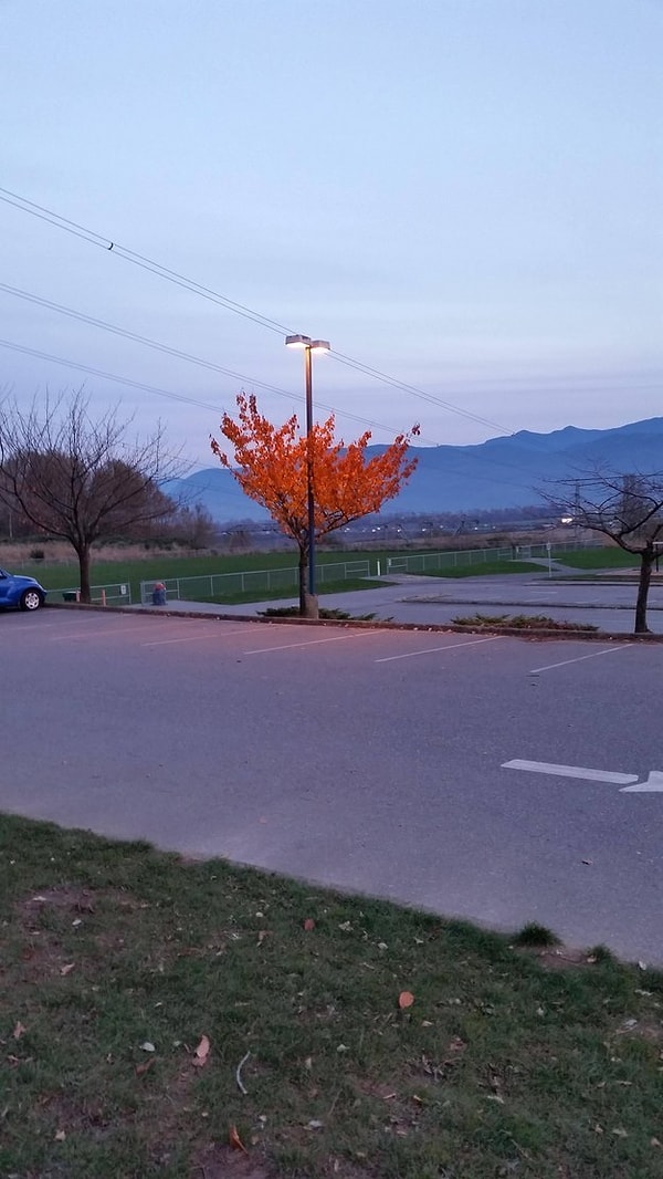 3. "Подумаешь зима наступила, мне этого тепла хватит, чтобы оттянуть зимний сон"