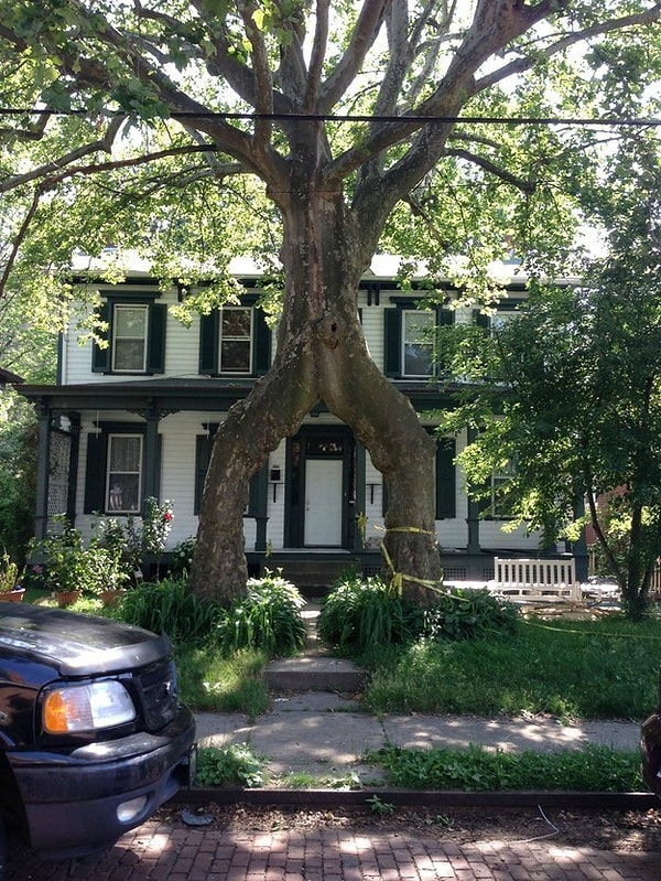 9. "Мне так проще нести свою ношу"