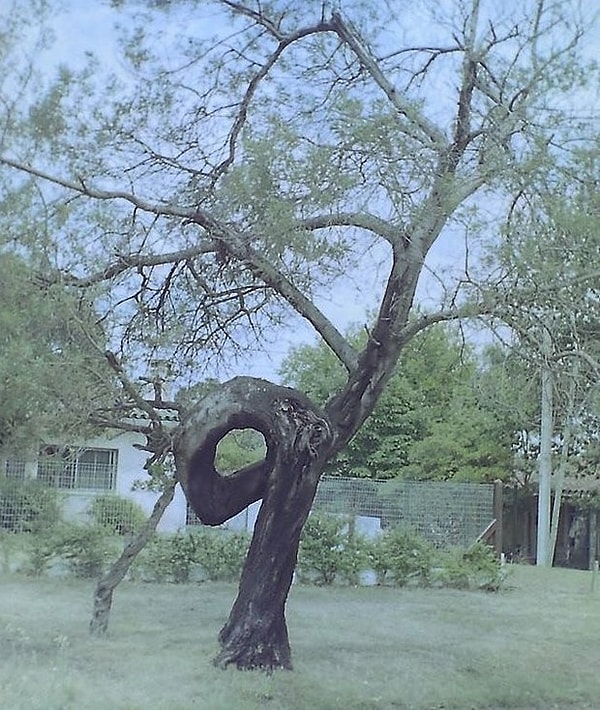 18. "Я боец по жизни"