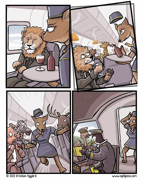 19. Пилоты - птицы которые не умеют летать