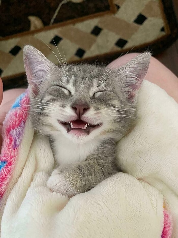 4. Кто-то счастлив быть в новом доме сегодня