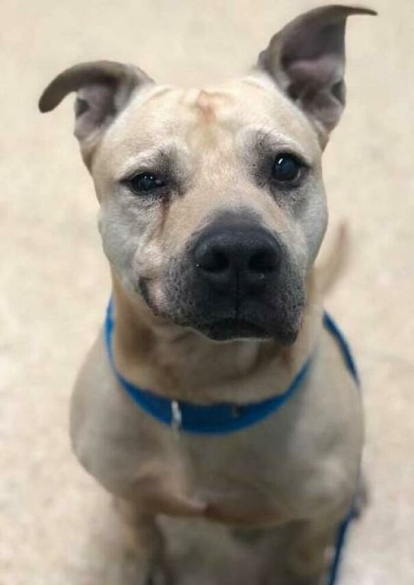 7. Харизматичный старик