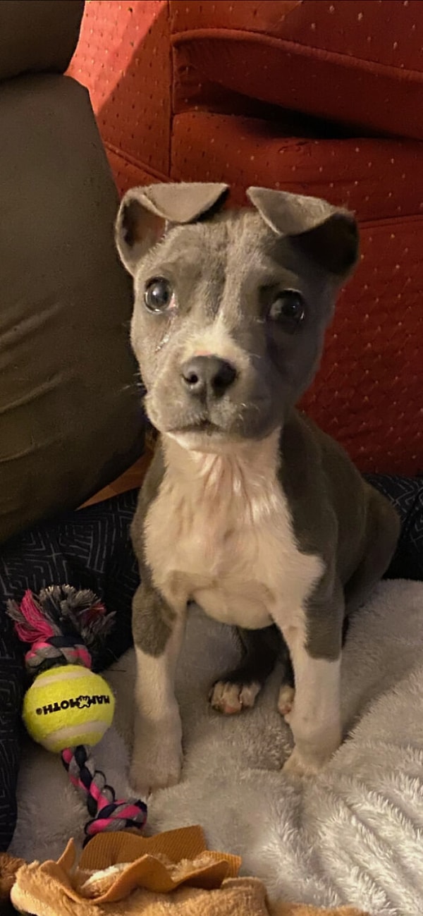 9. Спасла эту малышку, которая мерзла на обочине дороги