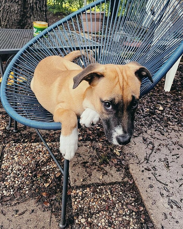 11. Знакомьтесь, это Юджин, и сегодня он обрел свой новый дом