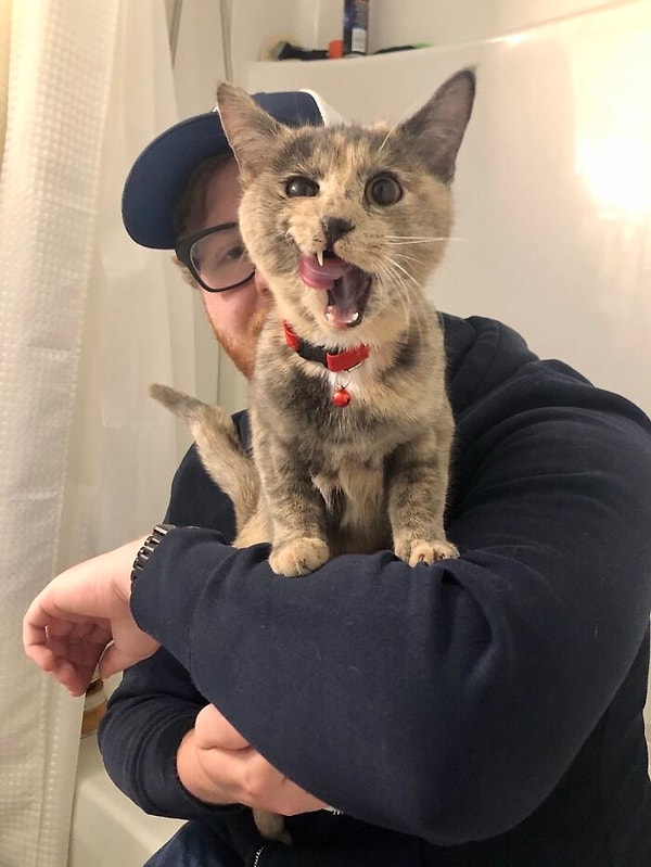 13. Еще месяц назад она плакала у нас под окном. Мы отвезли ее в приют, и вот уже сегодня официально приютили в ее новый дом