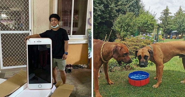 15 примеров того, почему стоит внимательно читать описание продукта, перед тем, как покупать его в Интернете (Новые фото)