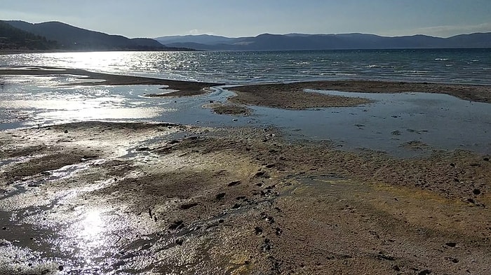 Bakanlık, Salda Gölü'ndeki Değişim İçin 'Polen ve Ağaç Birikintisi' Dedi