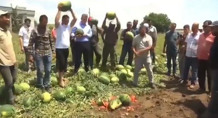 Çiftçiler, 'Cumhurbaşkanım Lütfen Gör' Diyerek İsyan Edip Karpuzları Parçaladılar