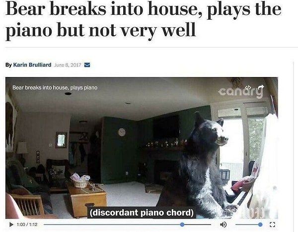 9. Мишка зашел в гости поиграть на пианино