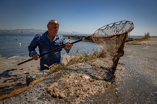 Marmara ve Ege'deki 42 Belediyeden 'Deniz Salyası' Çağrısı: Yetkililer Göreve!
