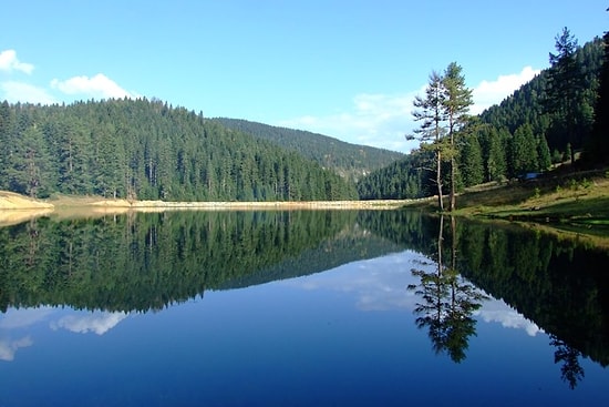 Her Mevsim Farklı Güzellikte: 30 Farklı Ağaç Türüne Ev Sahipliği Yapan Yenice Ormanları