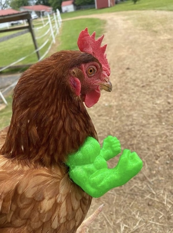 2. Напечатанные на 3D-принтере руки Халка. Теперь петух выглядит более брутально
