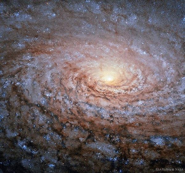 NASA'nın fotoğrafını paylaştığı bir diğer galaksi ise M63, diğer adıyla Ayçiçeği Galaksisi. Sarmal galaksiler kategorisine giren M63'ün Dünya'ya uzaklığı 35 milyon ışık yılı.