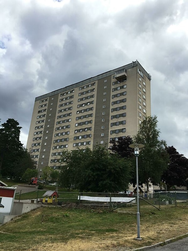 9. Царь района