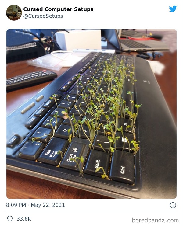 1. Когда вернулся в офис после карантина