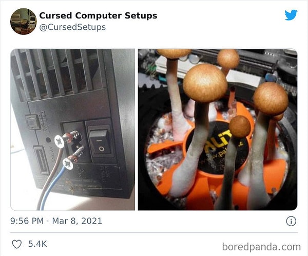 6. В моем компе начала зарождаться жизнь