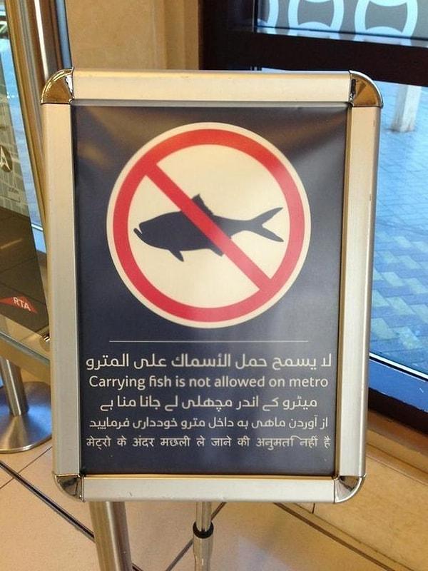 8. Ömrünüzde hiç 'Metro'ya balık sokmak yasaktır' yazısı görmüş müydünüz?