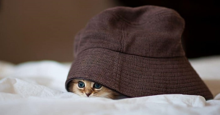 10 Soruda Stalkerlıkta Ne Kadar Usta Olduğunu Söylüyoruz