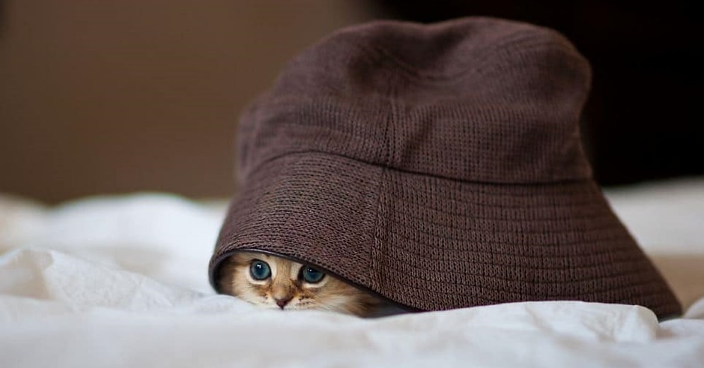 10 Soruda Stalkerlıkta Ne Kadar Usta Olduğunu Söylüyoruz