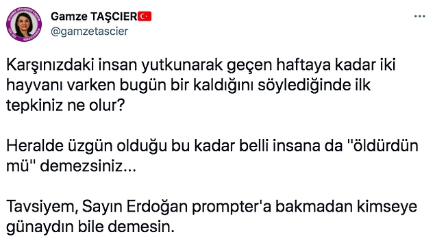 TRT Yayınında Hayvanını Kaybeden Gazeteciye 'Öldürdün mü?' Sorusunu Soran Erdoğan Tepki Topladı