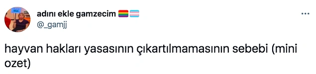 TRT Yayınında Hayvanını Kaybeden Gazeteciye 'Öldürdün mü?' Sorusunu Soran Erdoğan Tepki Topladı