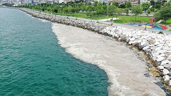 Marmara Denizi'ni fazlasıyla etkileyen müsilaj, sadece denizi değil insan sağlığını da tehdit ediyor.