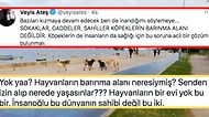 Sokakların Hayvanlar İçin Barınma Alanı Olmadığını Söyleyen Veyis Ateş'in Tepki Çeken Paylaşımı ve Tartışmalar