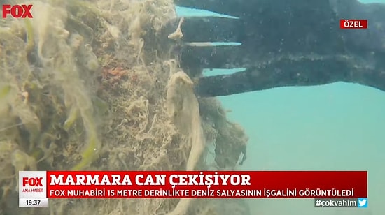 FOX Haber, Marmara Denizi'ndeki Deniz Salyasına Dalış Gerçekleştirdi