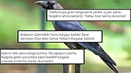 İstanbul'u Kargalar Bastı: Son Günlerde Sosyal Medyada Oldukça Sık Karşılaştığımız Karga Olayları