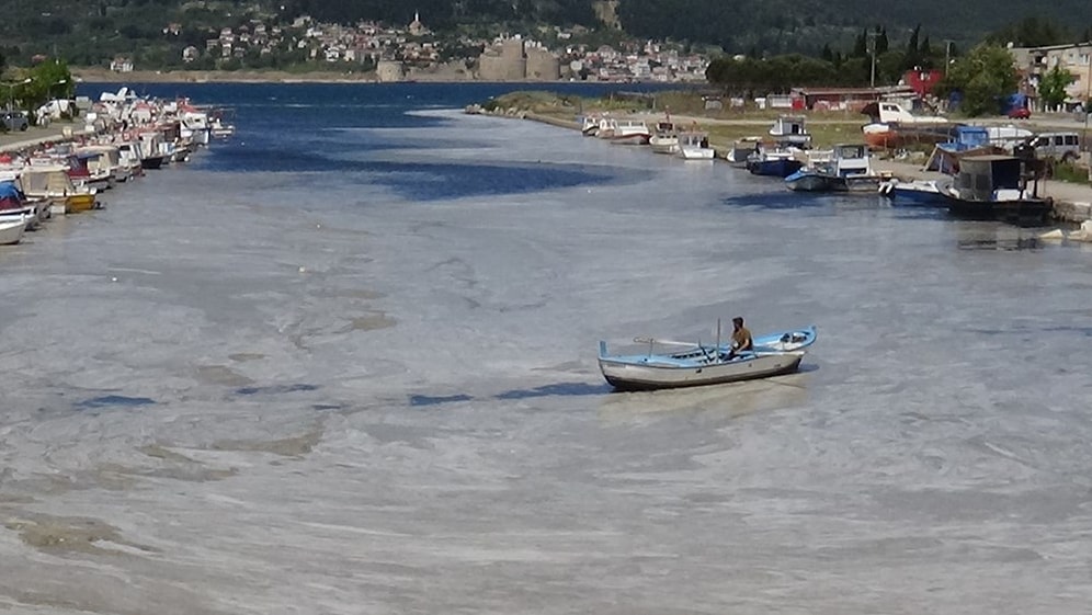 Deniz Salyası Yayılmaya Devam Ediyor: Çanakkale Boğazı'ndan Sonra Sarıçay da Müsilaj ile Kaplandı