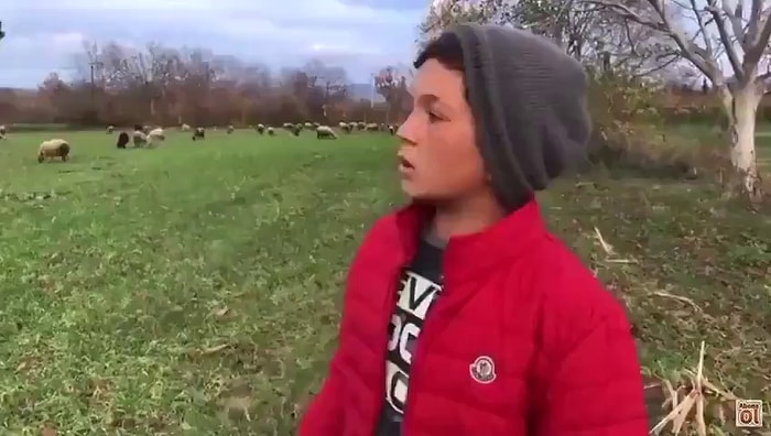 12 Yaşında 90 Koyuna Bakan Çocuk: 'Yemi Bu Kadar Pahalandıracak Ne Yapıyorsunuz?'