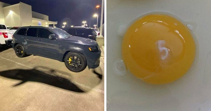 15 раз, когда людям удалось запечатлеть кое-что невероятно интересное