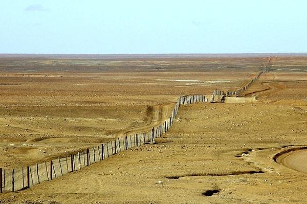 13. Arazi ve koyunları korumak için 1859'da yapılan Dingo Çit, dünyadaki en uzun çittir.
