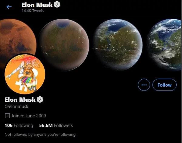 Elon Musk bir süredir Twitter'dan attığı tweetler ve profil fotoğrafına koyduğu fotoğraflarla kripto para borsasının altını üstüne getirmekle meşgul.