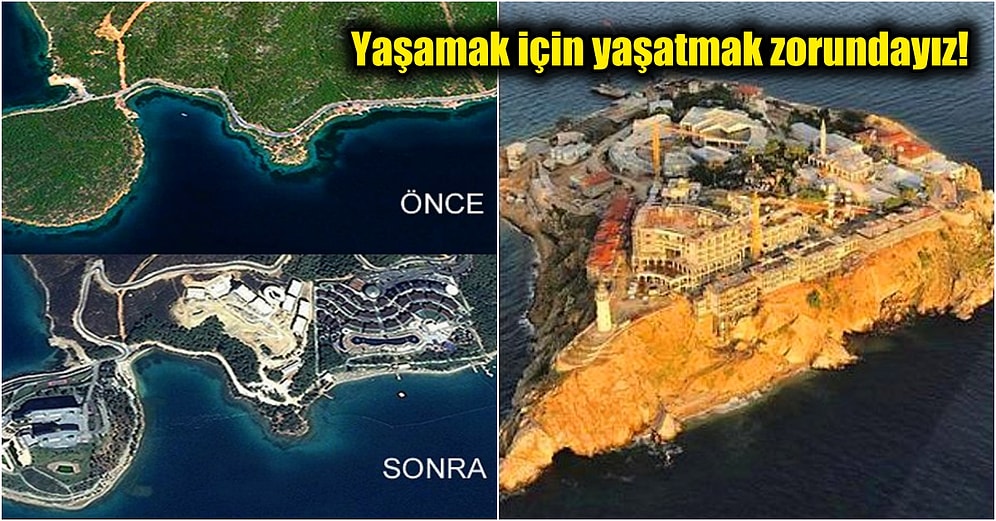 Ülkemizde Katledilen Bu Doğal Güzellikleri Görünce Uzaklara Dalıp Derin Bir İç Çekeceksiniz!