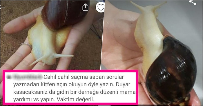 Cilt Bakım ‘Ürünü’ Olarak Canlı Afrika Kara Salyangozu Satışı Yapan ve ‘Duyar Kasmayın’ Diyen Kadın