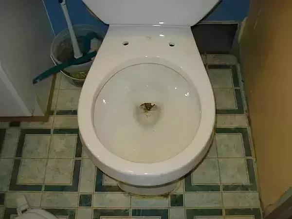 15. "Ekvador'da tuvaletlerin kapakları yok. Bu yüzden de içinde böcek ya da örümcek gibi canlıların girme olasılığı çok daha fazla!"😱