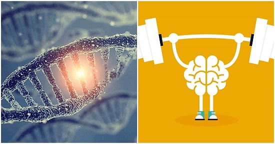 Mehmet Ali Deniz Yazio: Genetik Antrenman ve Beyin Temelli Egzersiz