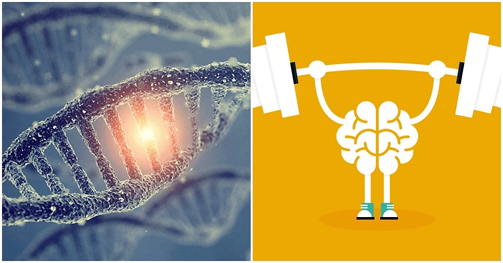 Mehmet Ali Deniz Yazio: Genetik Antrenman ve Beyin Temelli Egzersiz
