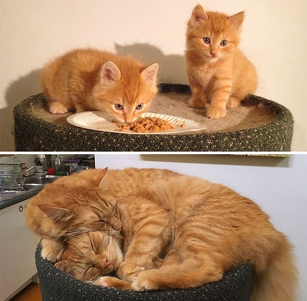 5. Они так быстро растут, не так ли?