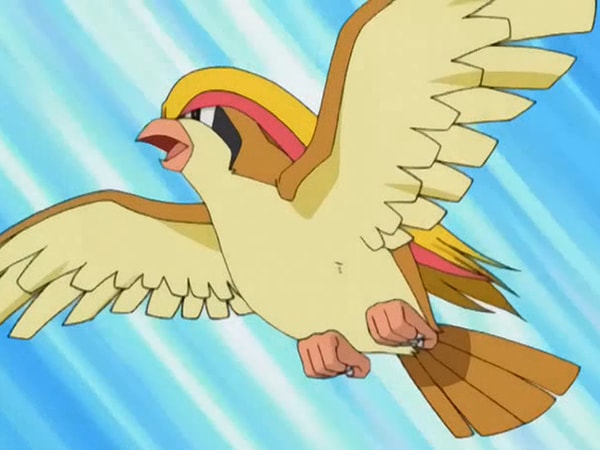 3. Pidgeotto (pidgeon, güvercin)