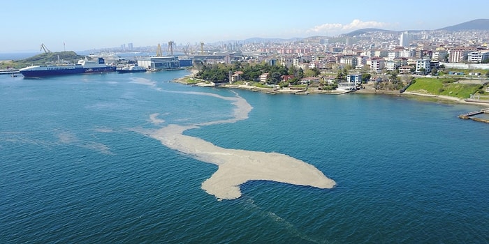 Burçak Yüce Yazio: Deniz Salyası Size Son Uyarım!