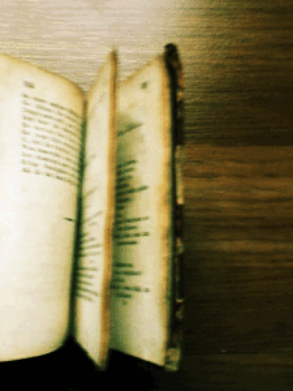 Kitap okumak