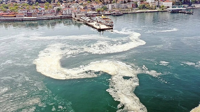 Musilaj Temizleme Çalışmaları Başladı Mı? Deniz Salyası Nedir, Nasıl Oluşur? Marmara Denizi Yok Oluyor...