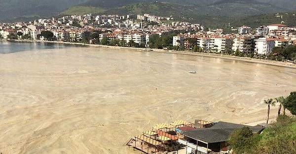 Tıpkı Marmara’daki müsilaj gibi Sedat Peker videoları salya oldu üstümüze aktı. Devletin her kademesine müsilaj yayılmış. Ve herkes çaresiz izliyor. Müsilaj kokmaya başladı. Hükûmet sessiz iddialar ayyuka çıkmış.