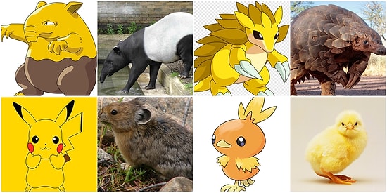 Ormanda Gezerken Pokemonların Gerçek Hali ile Karşılaşabiliriz