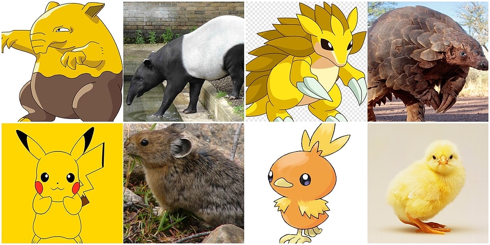 Ormanda Gezerken Pokemonların Gerçek Hali ile Karşılaşabiliriz