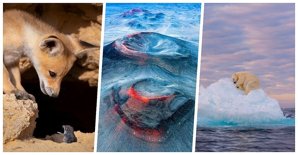 2021 BigPicture Doğal Dünya Fotoğraf Yarışması'ndan Gezegenimizdeki Zenginlikleri Gösteren 40 Eşsiz Fotoğraf
