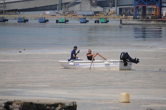 Uzmanlar Yanıtladı: Müsilaj Balıklarda Zehir Etkisi Yaratır mı?